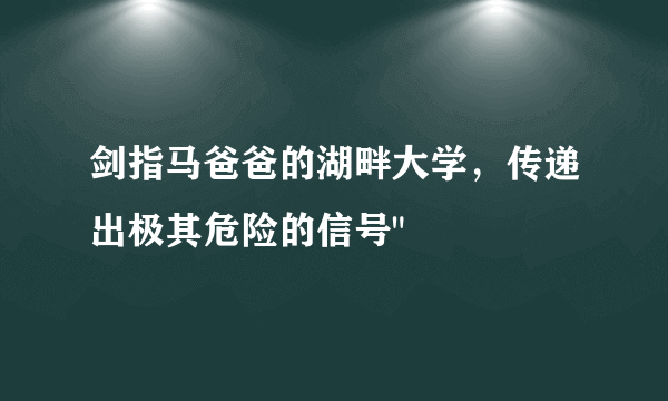 剑指马爸爸的湖畔大学，传递出极其危险的信号