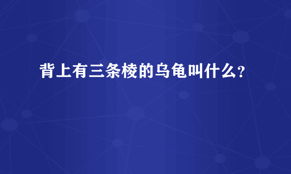 背上有三条棱的乌龟叫什么？