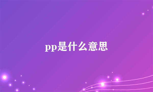 pp是什么意思