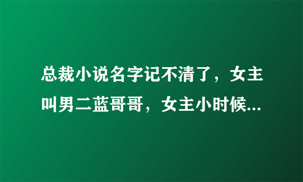 总裁小说名字记不清了，女主叫男二蓝哥哥，女主小时候全家被女主家杀？