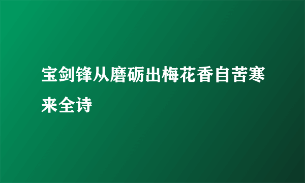 宝剑锋从磨砺出梅花香自苦寒来全诗
