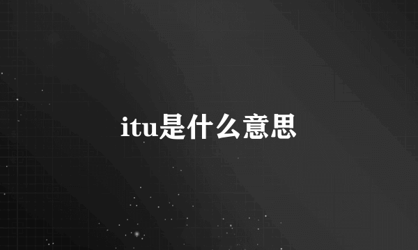 itu是什么意思