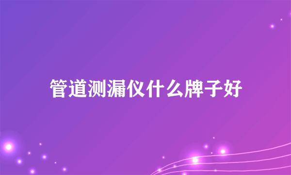 管道测漏仪什么牌子好