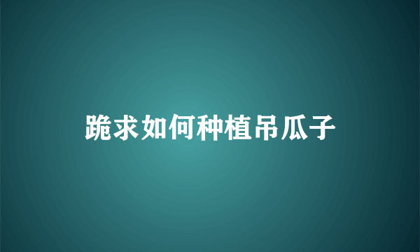 跪求如何种植吊瓜子