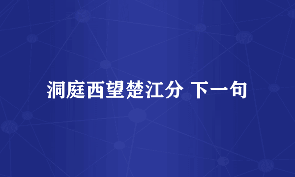 洞庭西望楚江分 下一句