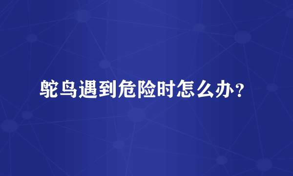 鸵鸟遇到危险时怎么办？