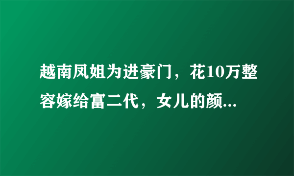 越南凤姐为进豪门，花10万整容嫁给富二代，女儿的颜值更像谁？