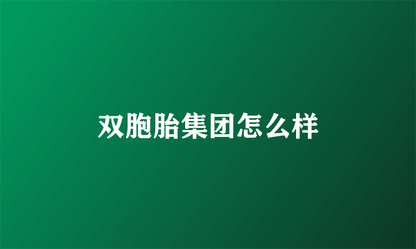 双胞胎集团怎么样