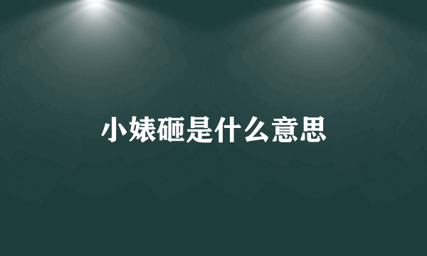 小婊砸是什么意思