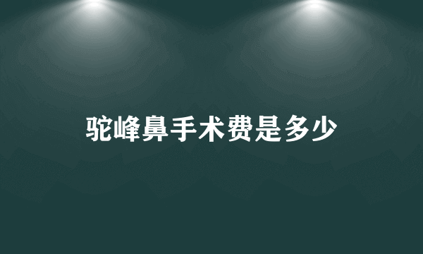 驼峰鼻手术费是多少