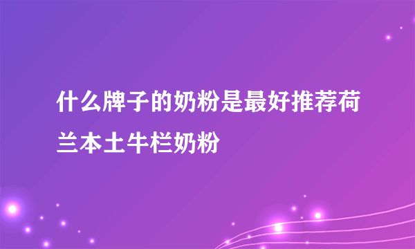 什么牌子的奶粉是最好推荐荷兰本土牛栏奶粉