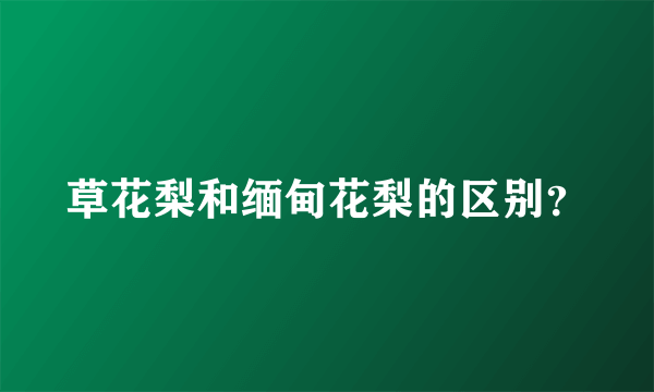 草花梨和缅甸花梨的区别？
