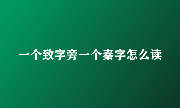 一个致字旁一个秦字怎么读