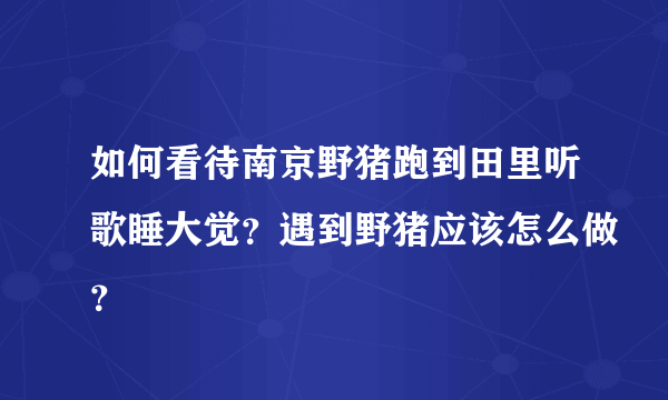 如何看待南京野猪跑到田里听歌睡大觉？遇到野猪应该怎么做？