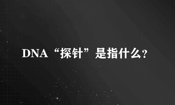 DNA“探针”是指什么？