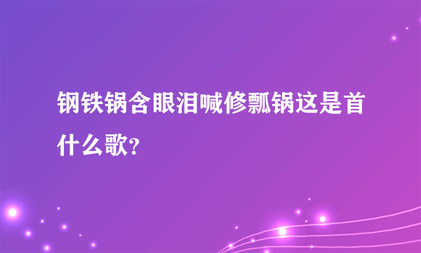 钢铁锅含眼泪喊修瓢锅这是首什么歌？