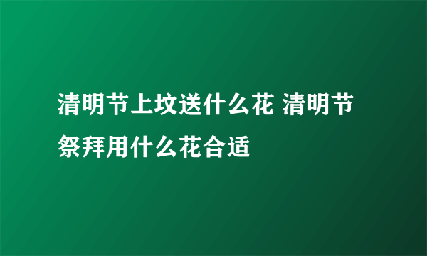 清明节上坟送什么花 清明节祭拜用什么花合适