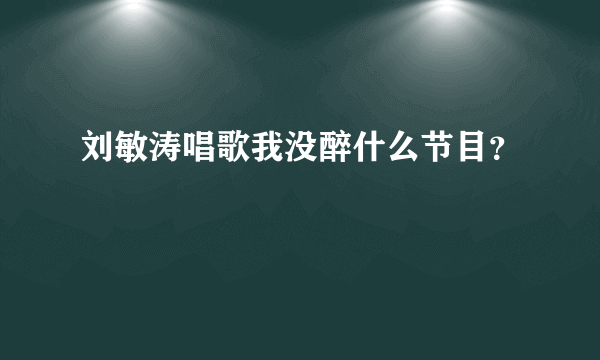 刘敏涛唱歌我没醉什么节目？
