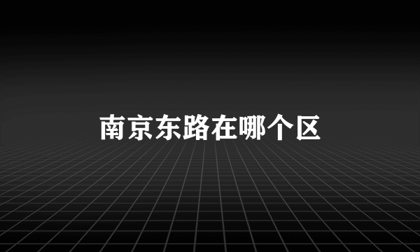 南京东路在哪个区