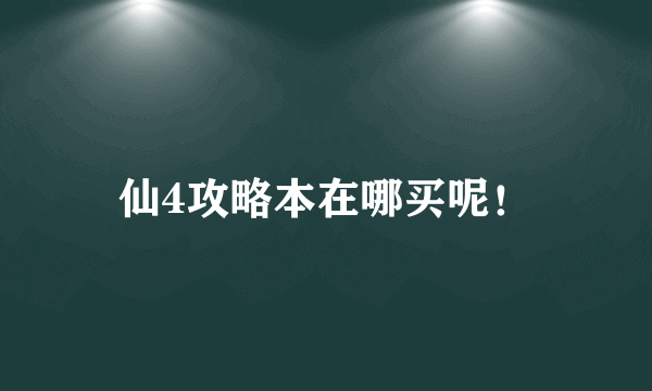仙4攻略本在哪买呢！