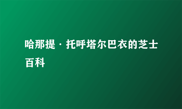哈那提·托呼塔尔巴衣的芝士百科