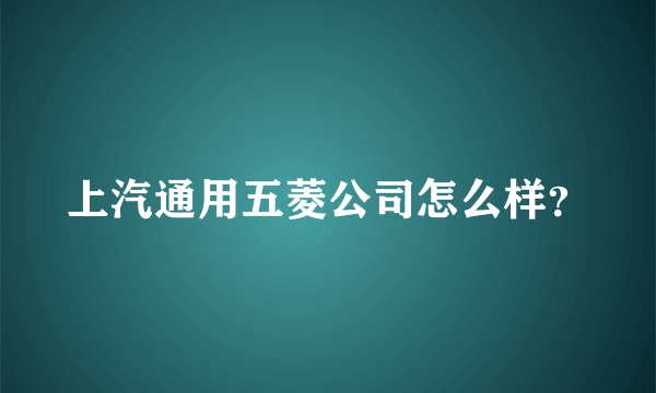 上汽通用五菱公司怎么样？