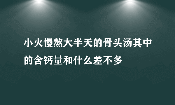小火慢熬大半天的骨头汤其中的含钙量和什么差不多