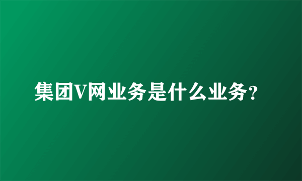 集团V网业务是什么业务？