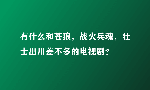 有什么和苍狼，战火兵魂，壮士出川差不多的电视剧？