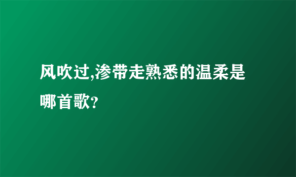 风吹过,渗带走熟悉的温柔是哪首歌？