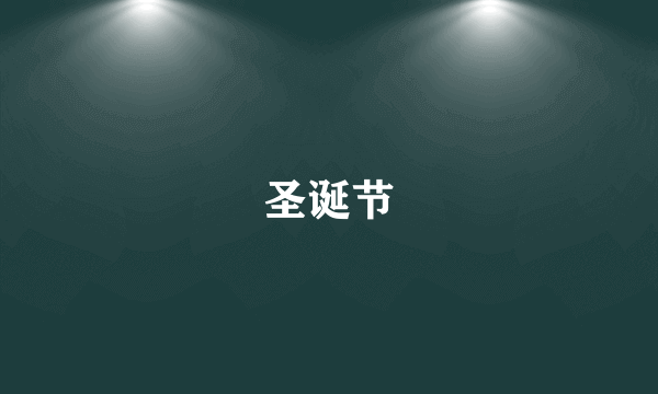 圣诞节