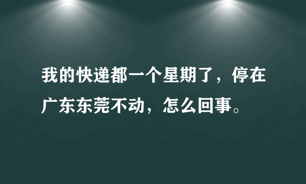 我的快递都一个星期了，停在广东东莞不动，怎么回事。