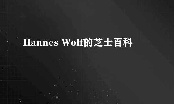 Hannes Wolf的芝士百科