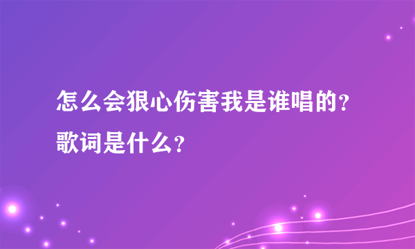 怎么会狠心伤害我是谁唱的？歌词是什么？