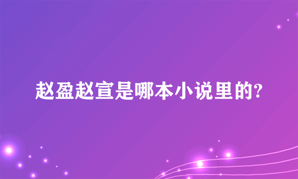 赵盈赵宣是哪本小说里的?