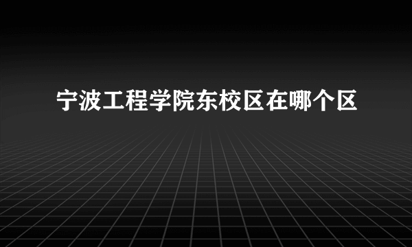 宁波工程学院东校区在哪个区