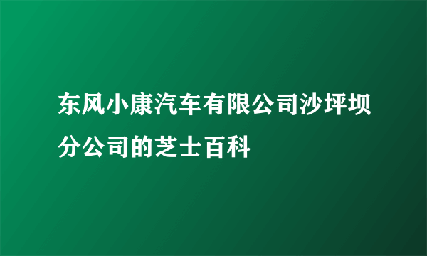 东风小康汽车有限公司沙坪坝分公司的芝士百科