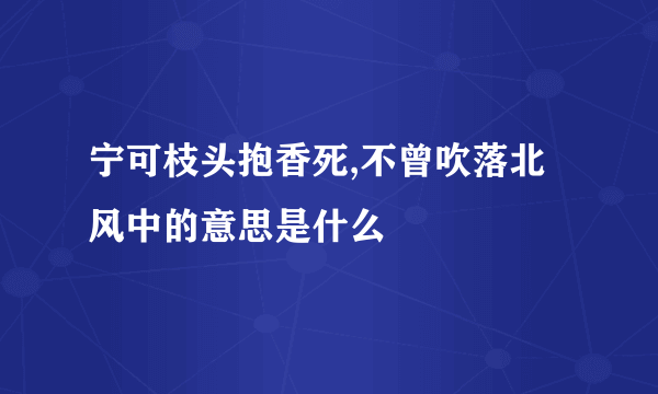 宁可枝头抱香死,不曾吹落北风中的意思是什么
