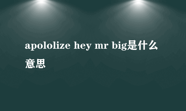 apololize hey mr big是什么意思