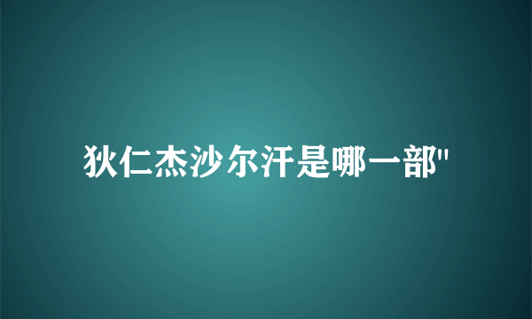 狄仁杰沙尔汗是哪一部