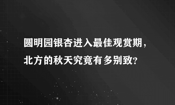 圆明园银杏进入最佳观赏期，北方的秋天究竟有多别致？