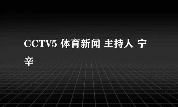 CCTV5 体育新闻 主持人 宁辛