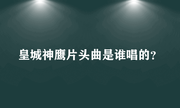 皇城神鹰片头曲是谁唱的？