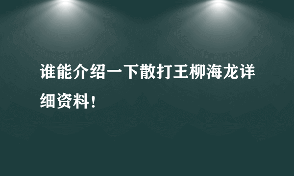 谁能介绍一下散打王柳海龙详细资料！