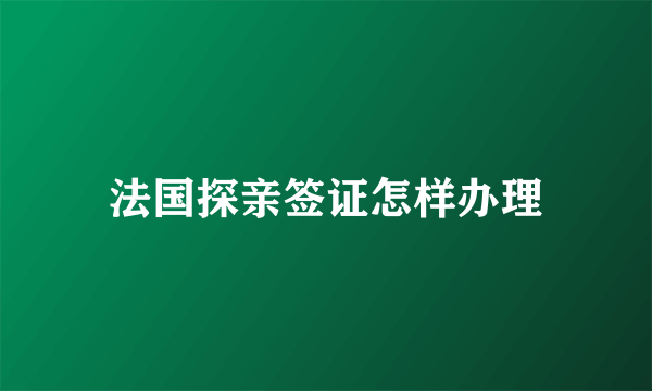 法国探亲签证怎样办理