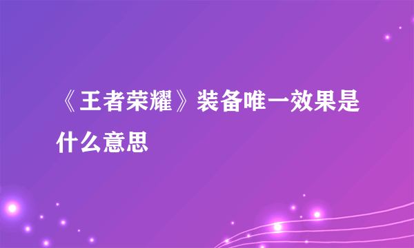 《王者荣耀》装备唯一效果是什么意思