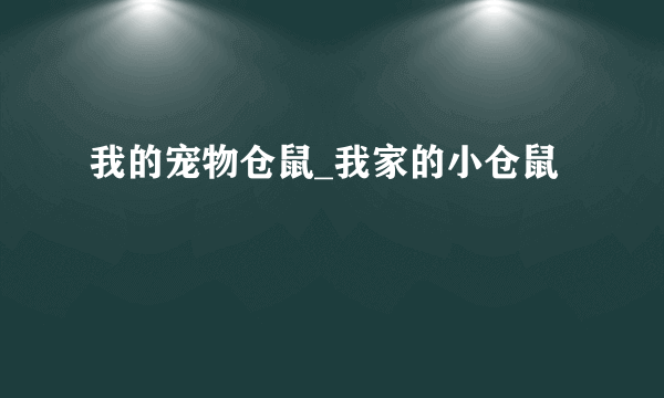 我的宠物仓鼠_我家的小仓鼠