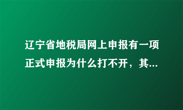 辽宁省地税局网上申报有一项正式申报为什么打不开，其他项都能打开