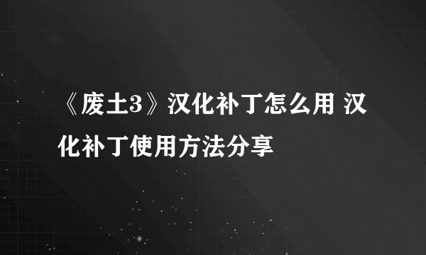 《废土3》汉化补丁怎么用 汉化补丁使用方法分享