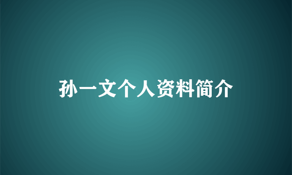 孙一文个人资料简介